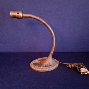 May include: An antique desk lamp with a flexible, gooseneck arm and a round base. The lamp has a copper finish and a brown electrical cord with a two-prong plug. The lamp is on a dark blue surface.