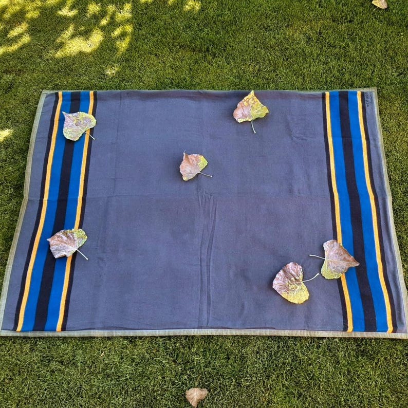 May include: A rectangular, dark blue blanket with a striped border in black, yellow, and blue. Several fallen leaves are scattered across the blanket, which is resting on green grass. The blanket has a light green border.
