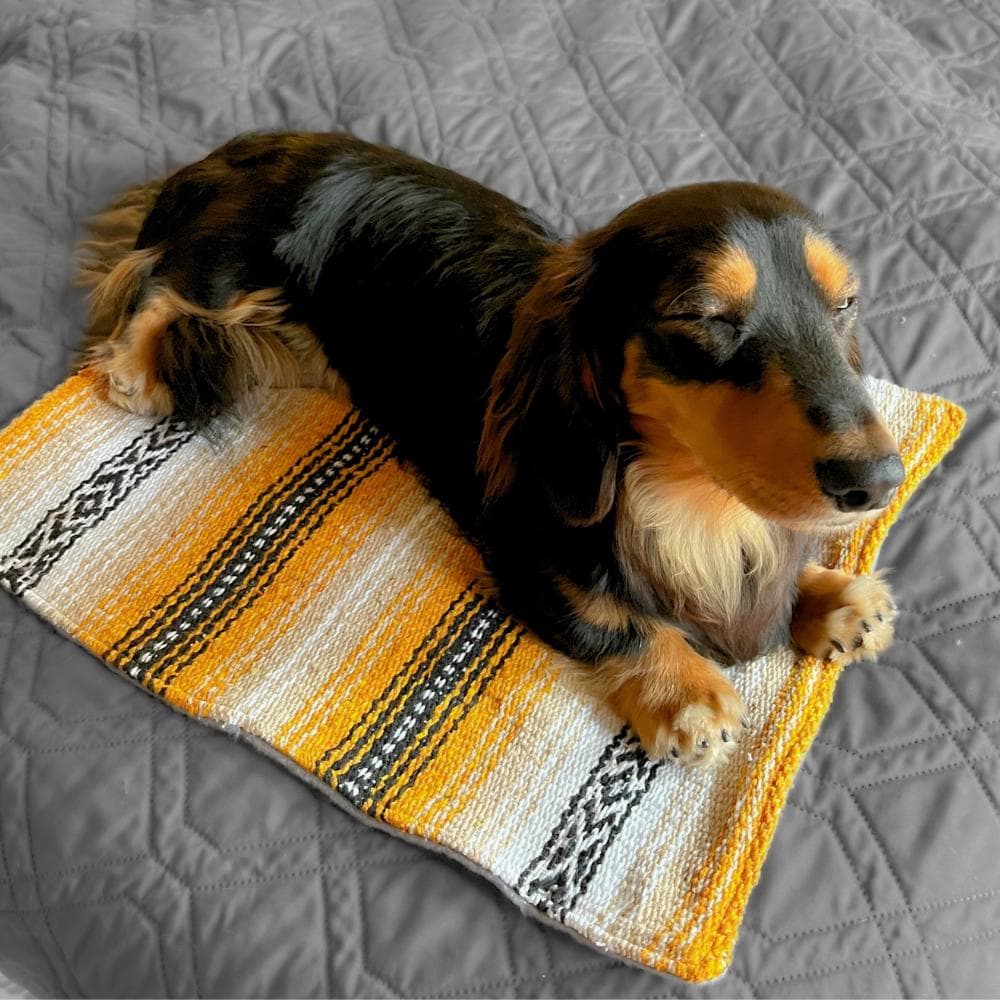 Mexican blanket dog bed sale