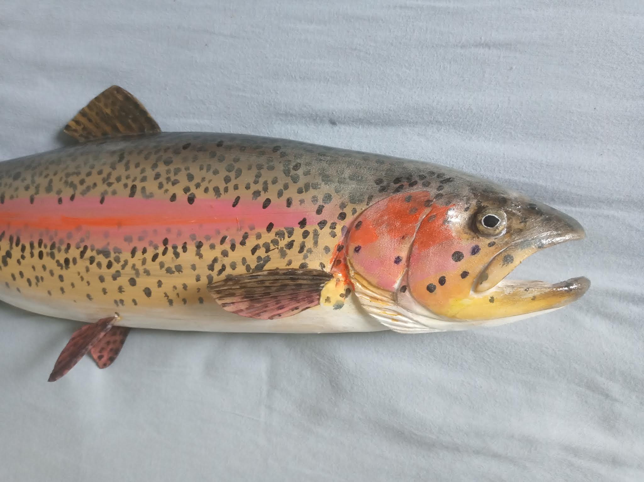 北海道　ネイティブトラウト　ニジマス　剥製 北海道 ネイティブトラウト ニジマス 剥製 - メルカリ