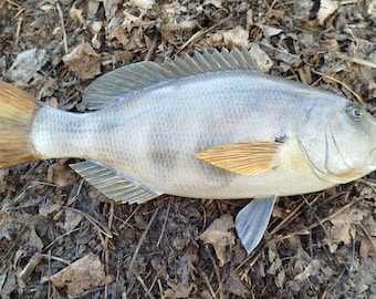 Poisson en bois 3D de 33 à 40 cm, sculpté et peint à la main sur les deux faces, disponible sur commande.