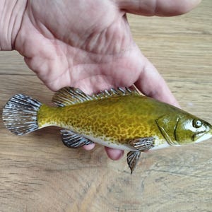 Pode incluir: Escultura de peixe pintada à mão, com corpo verde-oliva manchado e detalhes brancos. As barbatanas são detalhadas e a superfície texturizada. O objeto é segurado em uma mão sobre um fundo de madeira. Objeto decorativo.