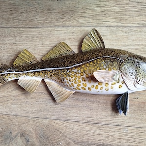 Atlantic Cod, Gadus morhua, Cod, 13-16 inches 3D wall wooden fish, one side hand carved and painted, fish carving for order