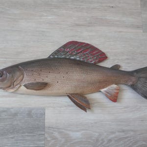 Puede incluir: Una escultura de pescado de madera con un cuerpo gris y aletas rojas. El pez está acostado sobre una superficie gris claro.