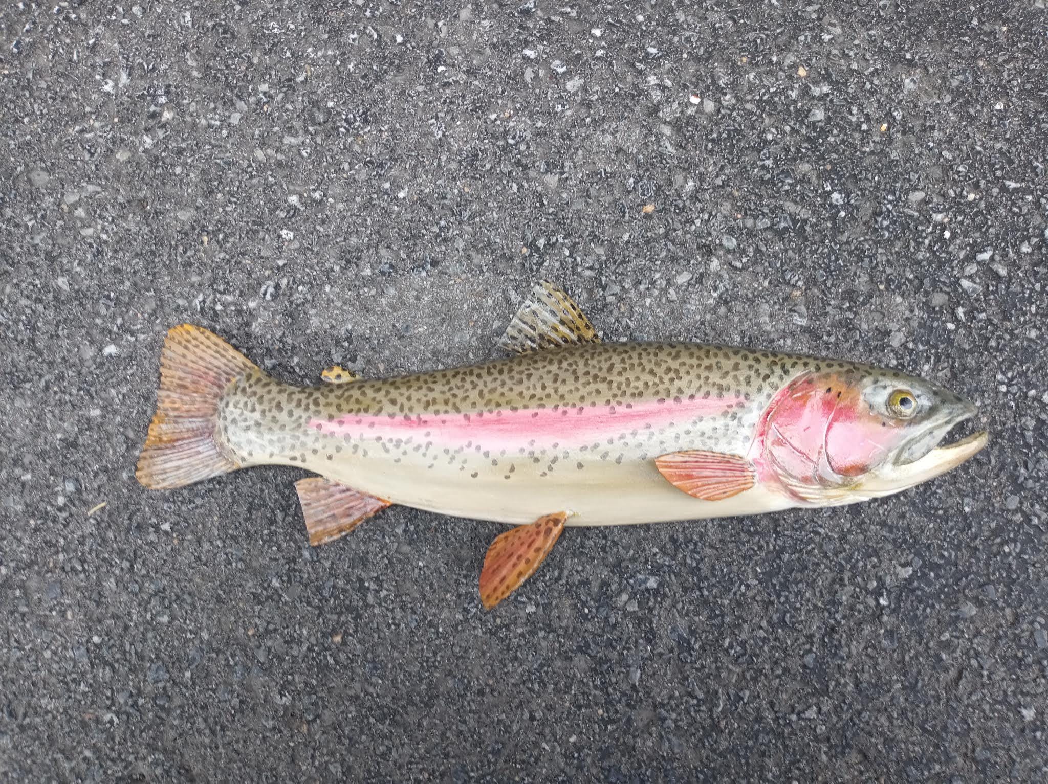 ニジマス、Oncorhynchus mykiss、13〜16インチの3D木製魚、両面手彫り 