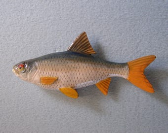 Rotauge (Rutilus rutilus), 12,5–20 cm große, dreidimensionale Holzfigur, einseitig handgeschnitzt und bemalt, Fischschnitzerei auf Bestellung