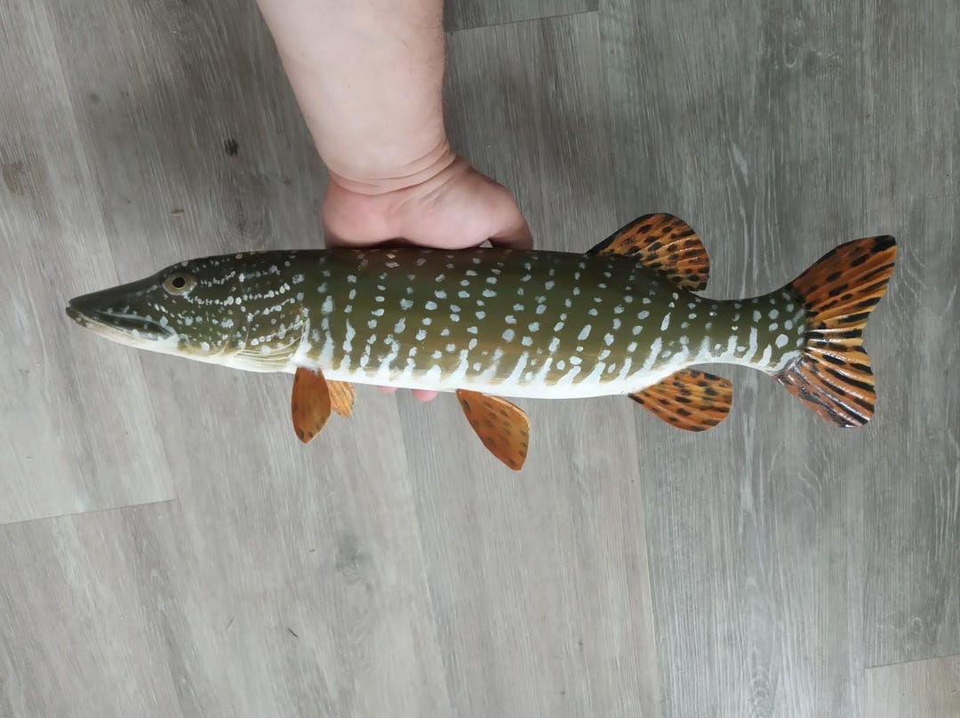 Northern Pike, Esox Lucius, Pike, 17-21 Inches 3D Wooden Fish, Both ...