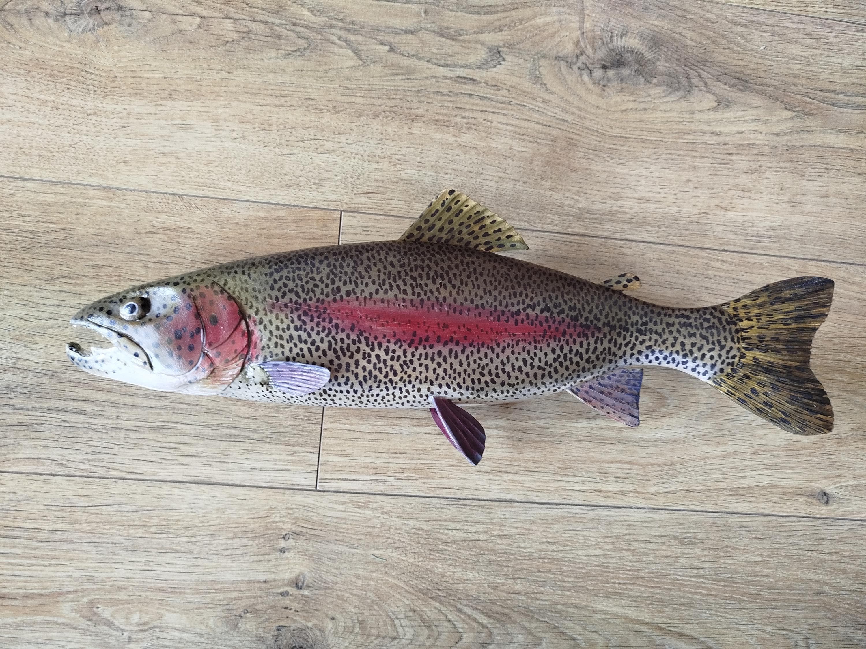 ニジマス、Oncorhynchus mykiss、17〜21インチの3D壁掛け木製魚、片面
