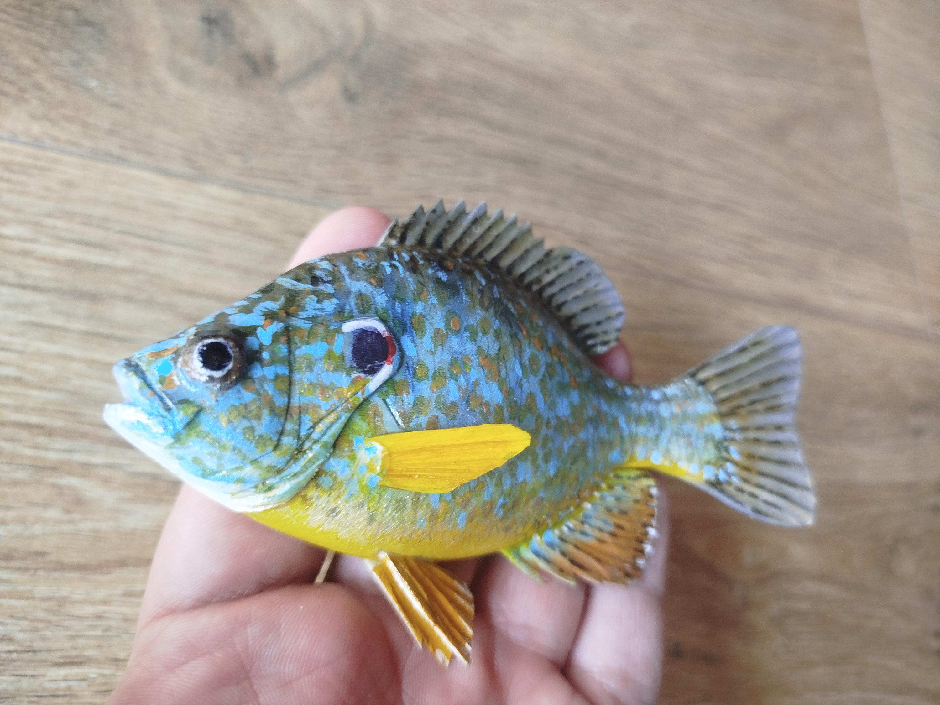 Taxidermy sunfish - Etsy 日本