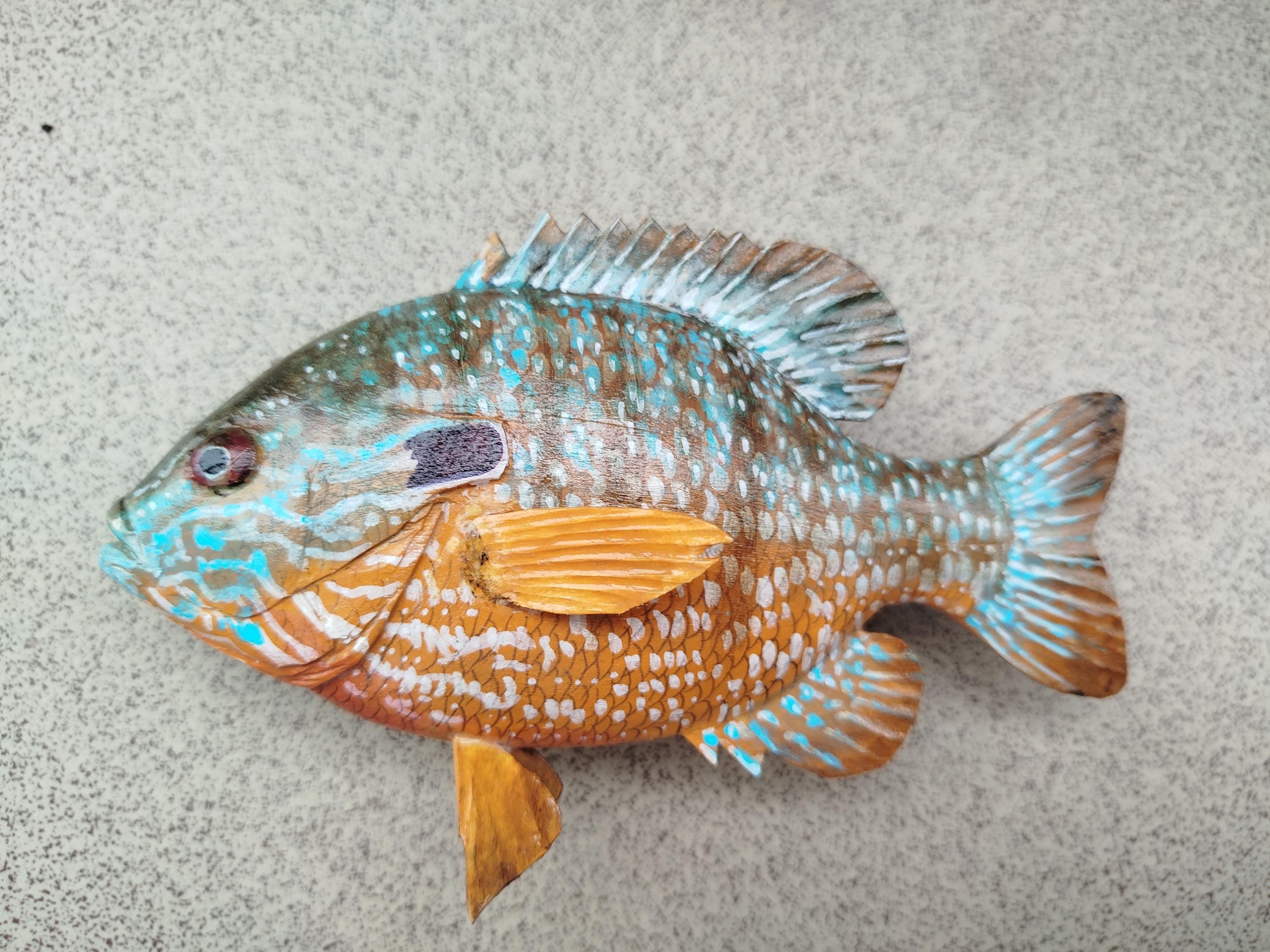 Taxidermy sunfish - Etsy 日本