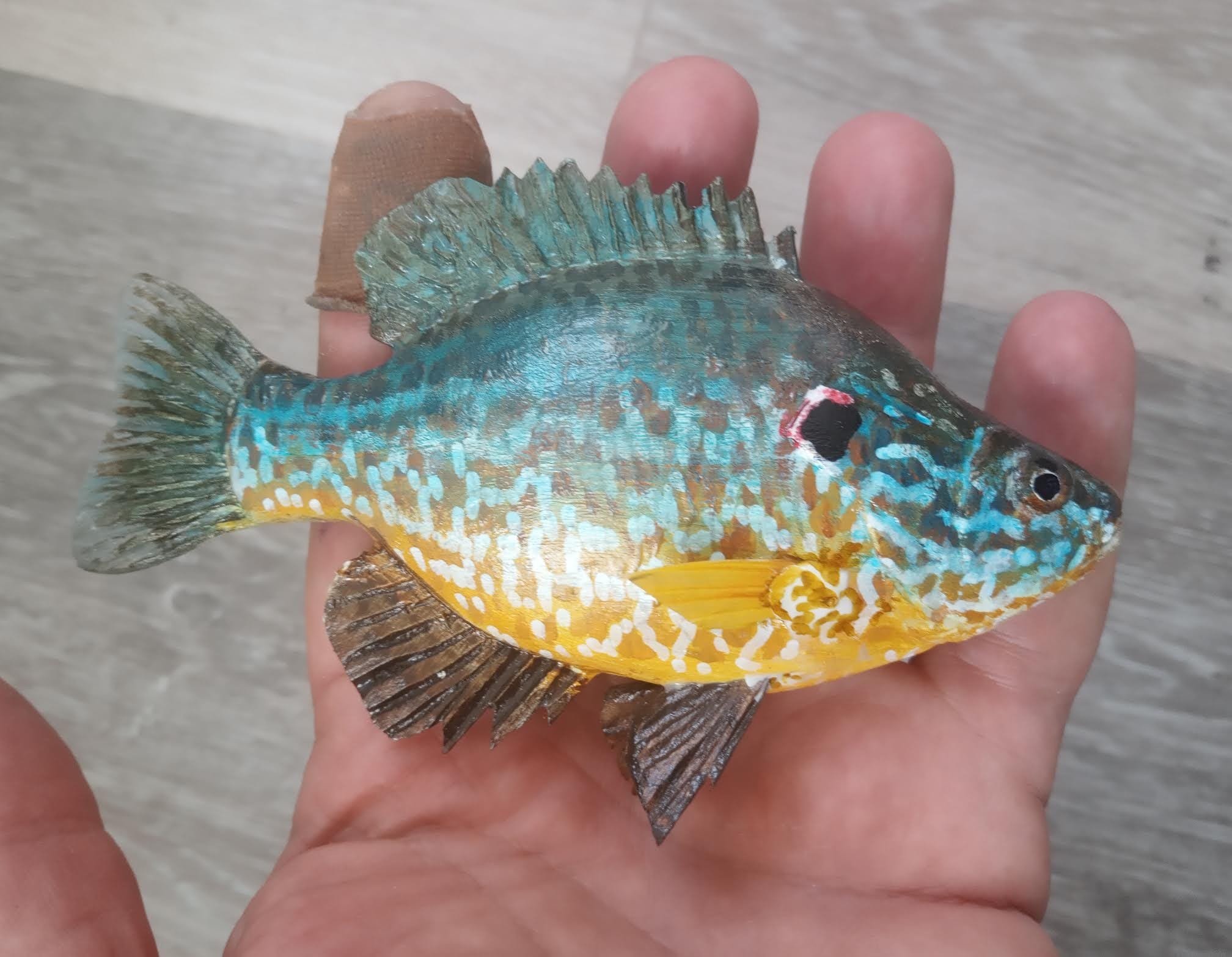 Taxidermy sunfish - Etsy 日本