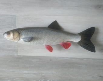 Chub, Squalius cephalus, European chub, 13-16 inches 3D wall wooden fish, one side hand carved and painted, fish carving for order