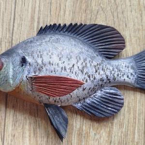 May include: A detailed, hand-painted fish sculpture with a blue-grey body, speckled pattern, and red fins. The fish has dark blue fins and tail, and is set against a wooden background. The sculpture is a decorative item.