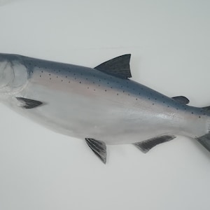 Zilverkleurige vrouwelijke cohozalm (Oncorhynchus kisutch), zilverzalm, 56-63 cm, 3D houten wandvis, één zijde handgesneden en beschilderd, visbeeldhouwwerk