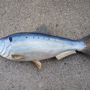 May include: A hand-carved wooden fish sculpture featuring a blue and silver painted finish with visible scale textures. The fish has a dark grey dorsal fin, light brown pectoral and pelvic fins, and a dark grey tail fin with carved details.