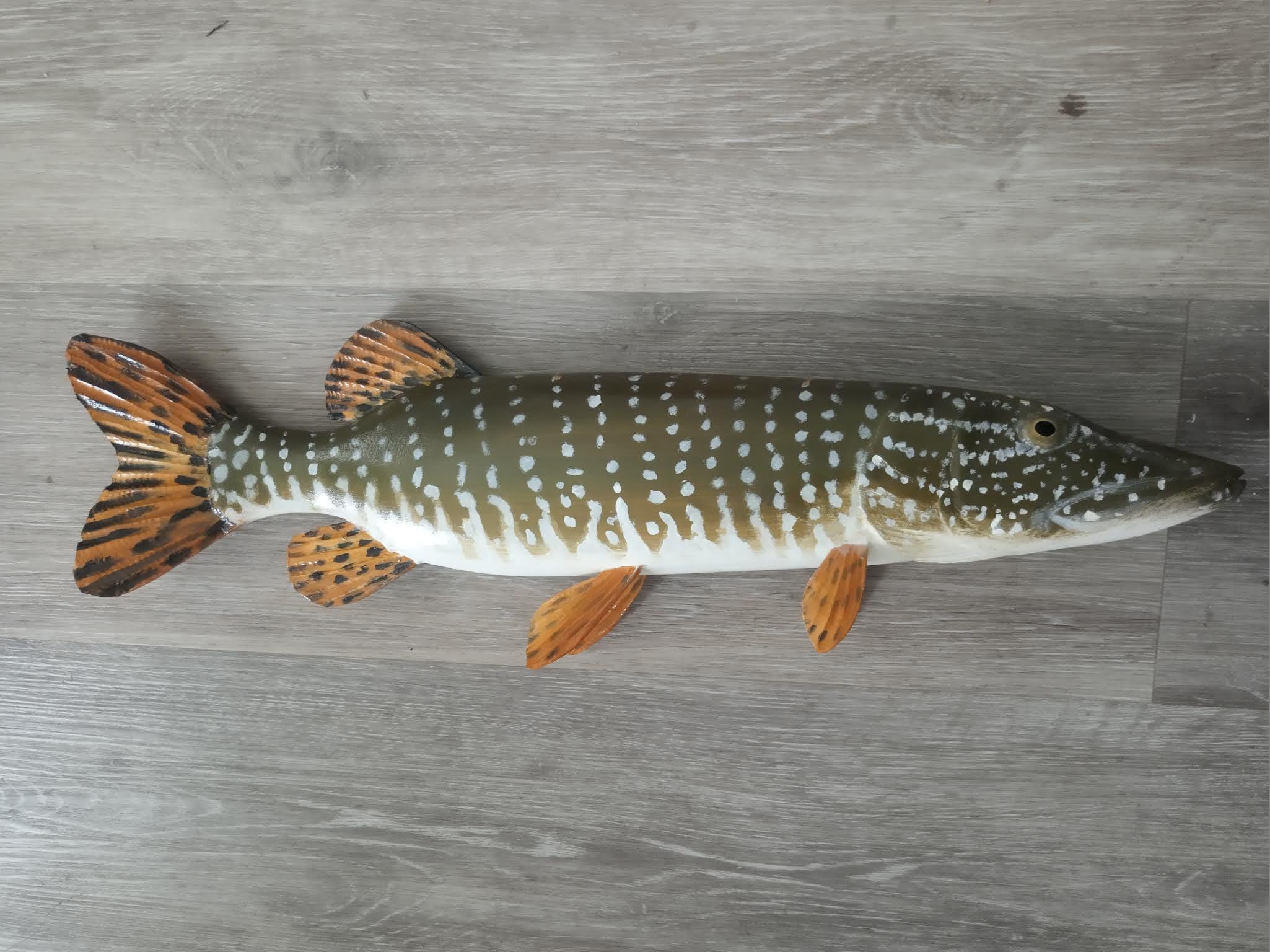Northern Pike, Esox Lucius, Pike, 17-21 Inches 3D Wall Wooden Fish, One ...