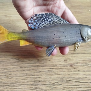 Puede incluir: Escultura de pez pintada a mano, con cuerpo gris, cola amarilla y naranja, y aleta dorsal estampada. El pez tiene pequeñas manchas negras y está sostenido en una mano. La escultura se exhibe sobre una superficie de madera.