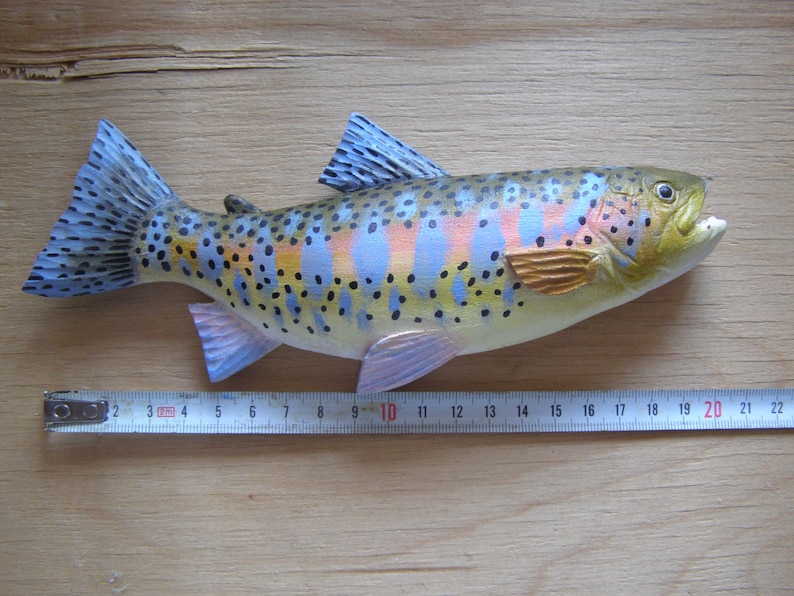 20 cm 2D sculpture of rainbow trout wood in fry coloring Mikizha wall decor hand wood carving