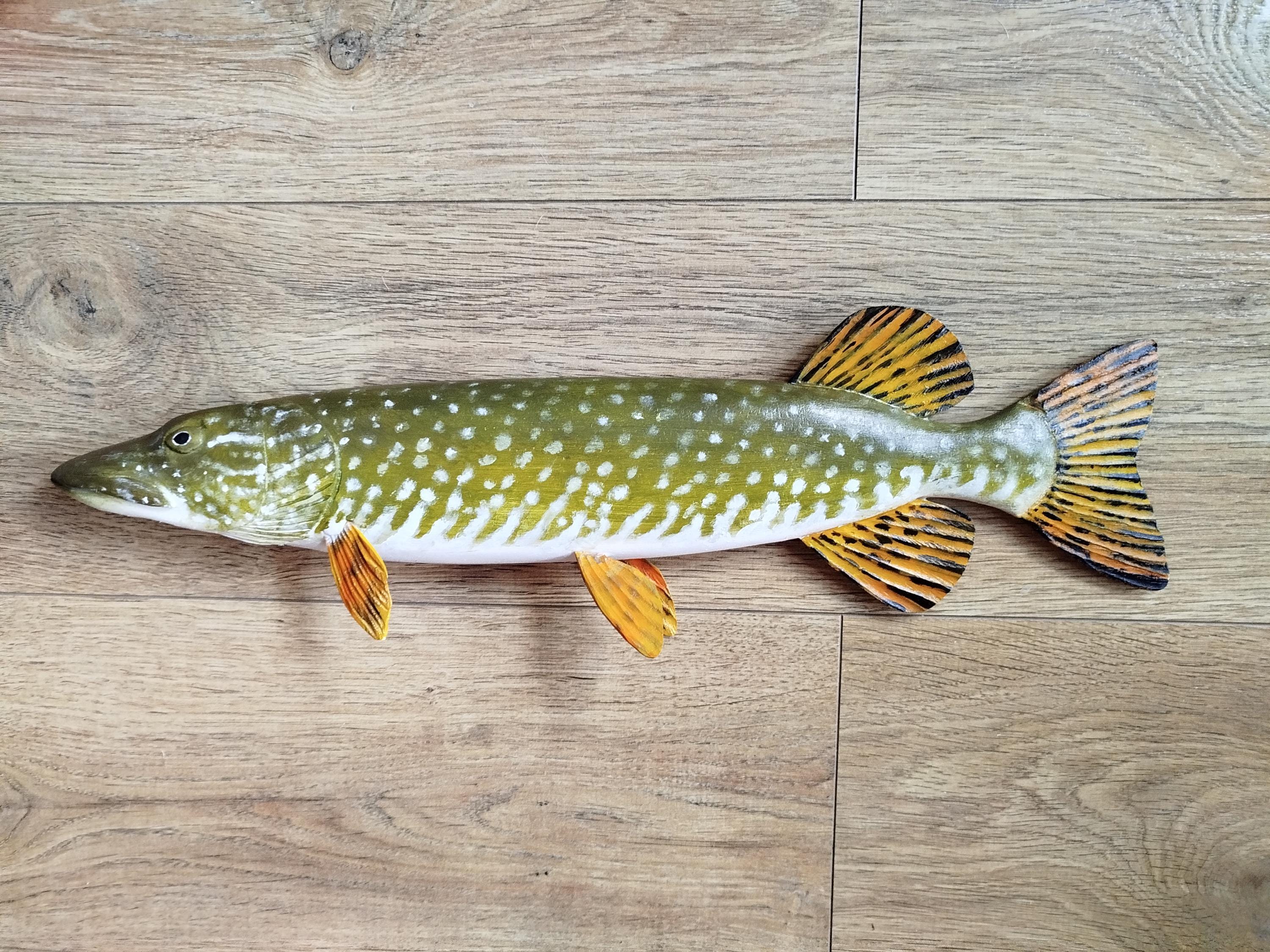 Northern Pike, Esox Lucius, Pike, 17-21 Inches 3D Wall Wooden Fish, One ...