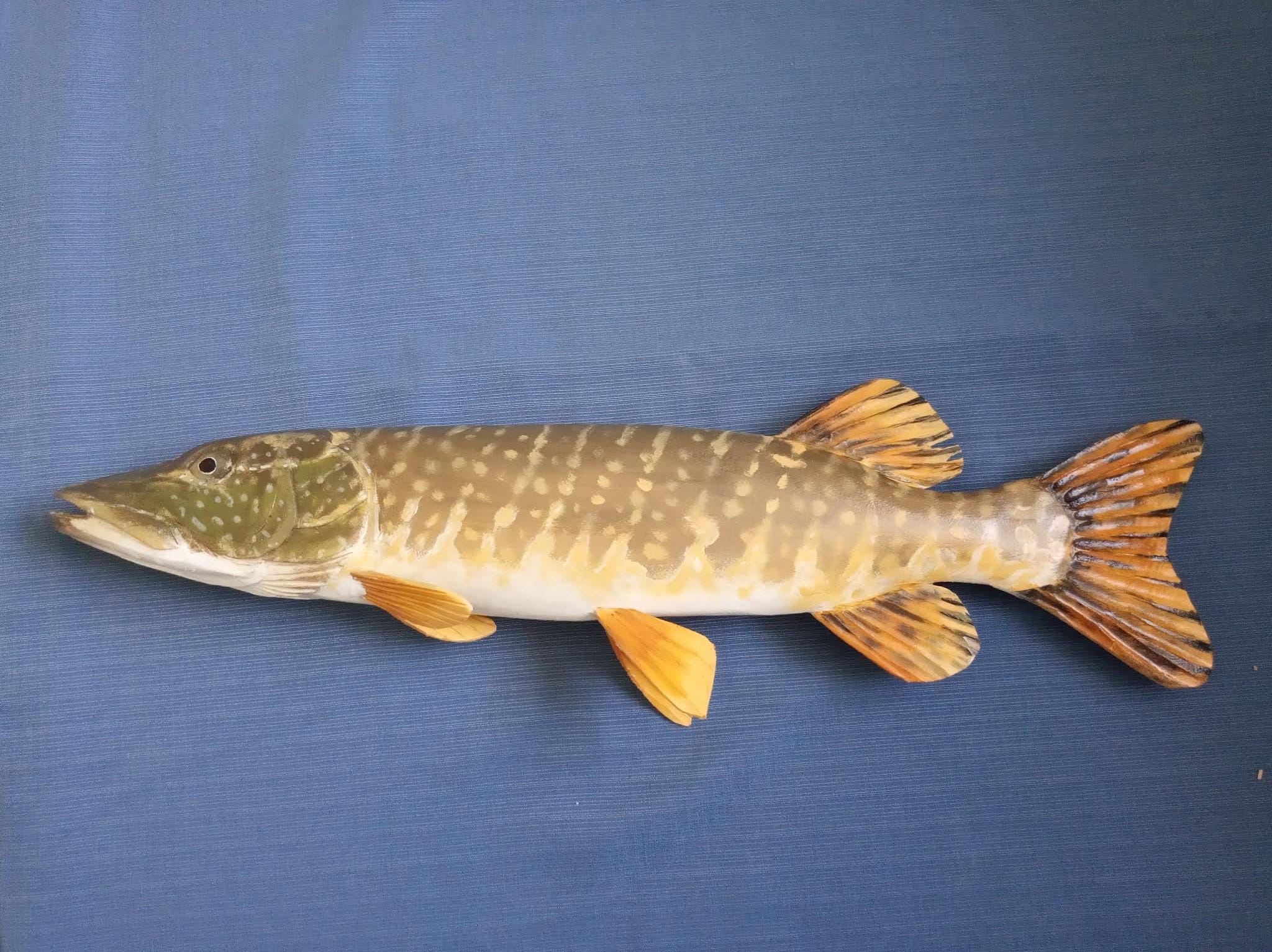 Northern Pike, Esox Lucius, Pike, 17-21 Inches 3D Wall Wooden Fish