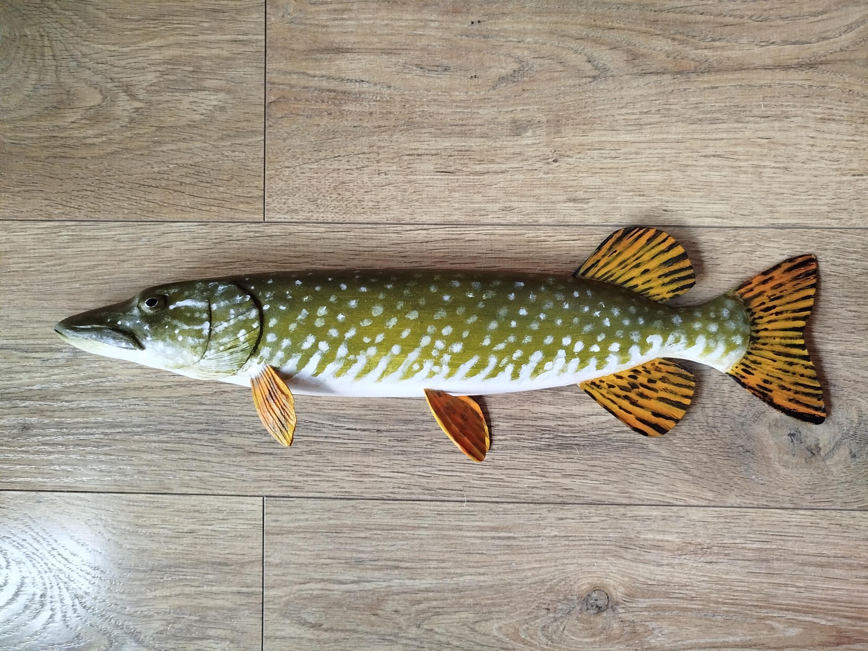 ＊Blue.Esox Lucius＊２３cm・ Copen・美術品・ 27926421877_ecc682cec4_h.jpg