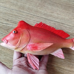 Pargo-napoleão (Lutjanus sanguineus), 23-30 cm, escultura em madeira 3D, esculpido e pintado à mão em ambos os lados, sob encomenda, exemplar em tamanho reduzido.
