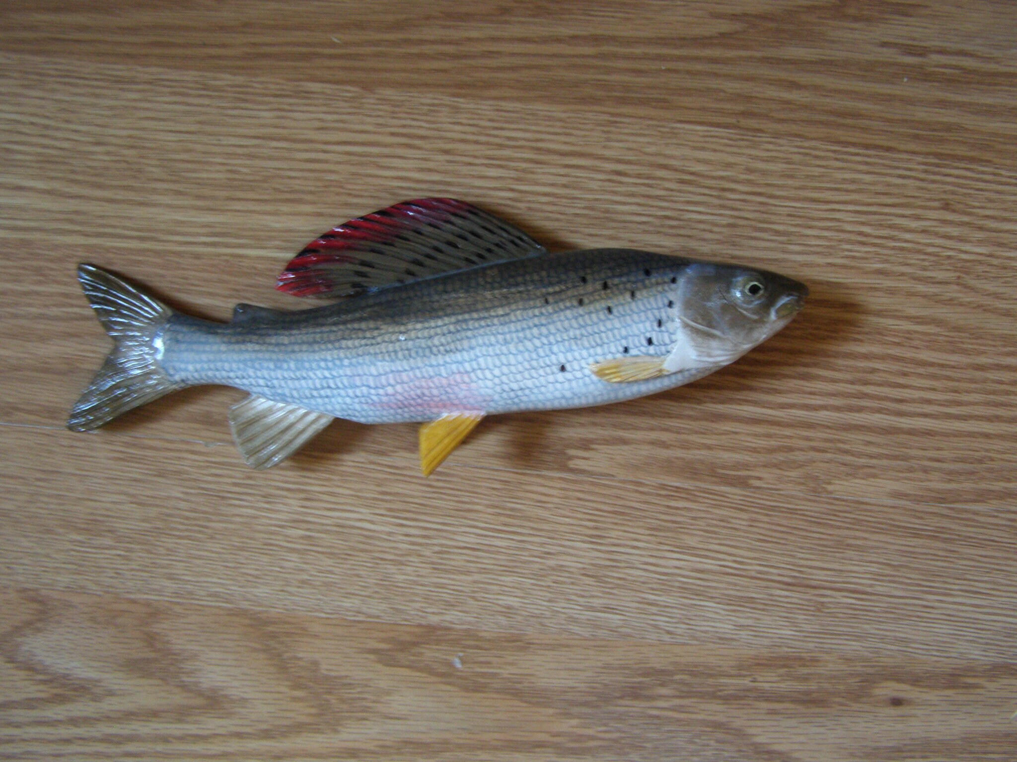 20cm 3d Wall Wooden Fish Sculpture Grayling European Etsy Singapore