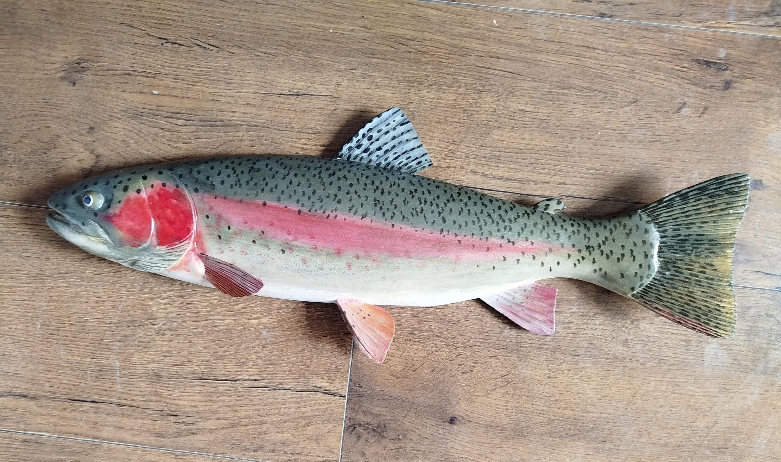 ニジマス、Oncorhynchus mykiss、17〜21インチの3D壁掛け木製魚、片面 