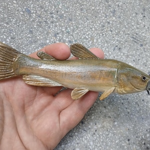 Peut inclure: Sculpture en bois d'un poisson-chat, avec des nageoires, une queue et des barbillons détaillés. Le poisson est peint dans des tons bruns et beiges, avec une finition texturée. La sculpture est tenue dans une main.