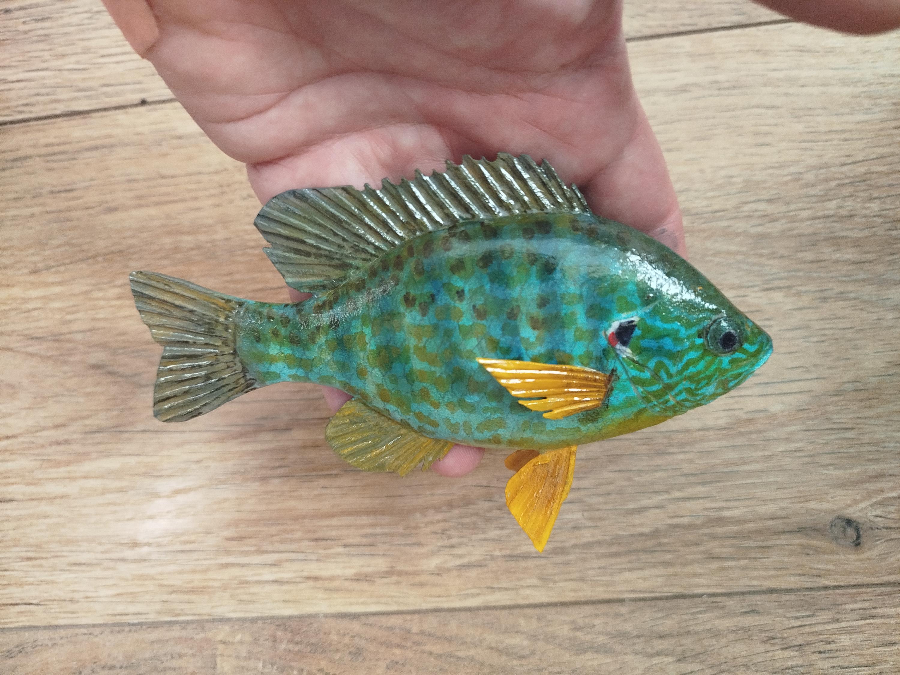 Taxidermy sunfish - Etsy 日本