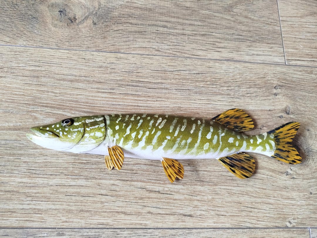 Northern Pike, Esox Lucius, Pike, 9-12 Inches 3D Wooden Fish, Both ...