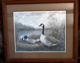 Shirley Stockman Giclee limited edition "Sentinel" pencil signed Canada Geese, Matted and framed