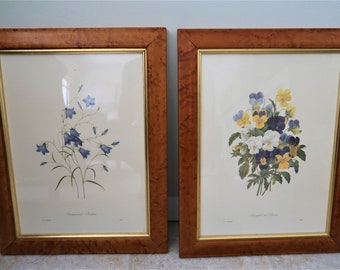 Vintage Burlwood framed  French Botanical Prints,- Pierre-Joseph Redaute-a pair