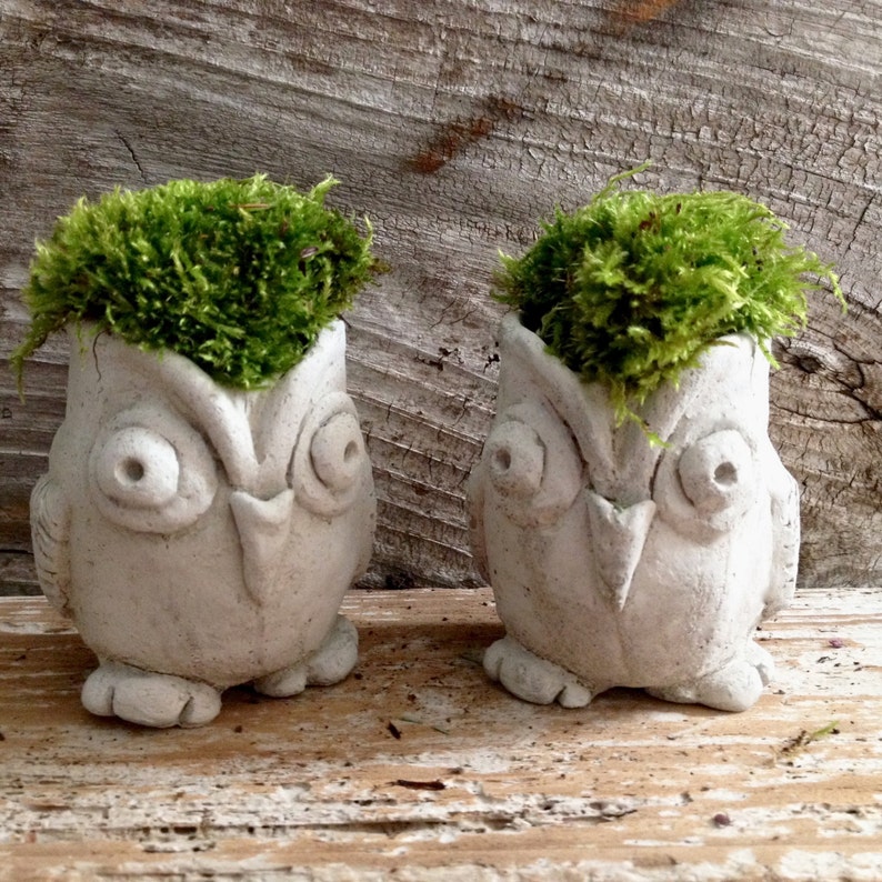 Owl planter Owl concrete succulent planter Owl vase ...