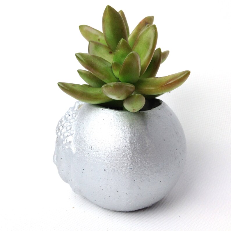 Buddha Head Planter Succulent cacti planter concrete