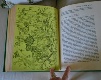 Reduced - The Gardner’s World By Joseph Wood Krutch 1959, Vintage Book, Reference Garden Book