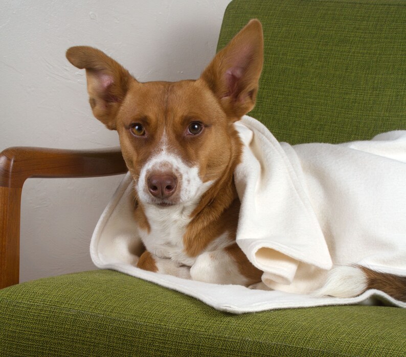 100% Organic Undyed White Cotton Fleece Double Layered Embroidered Blanket, Small / Medium, by The Green Cat Lady, LLC ™, Made in USA image 5