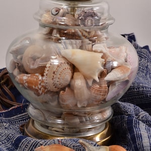 Vintage Seashells Ginger Jar Lamp, Coastal Beach Seaside Bungalow Decor