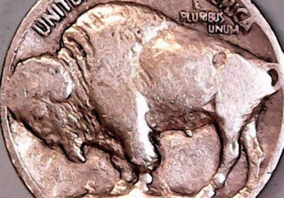 * 1928 Plain BUFFALO NICKEL No G4 in Good Plus condition * Free US Shipping