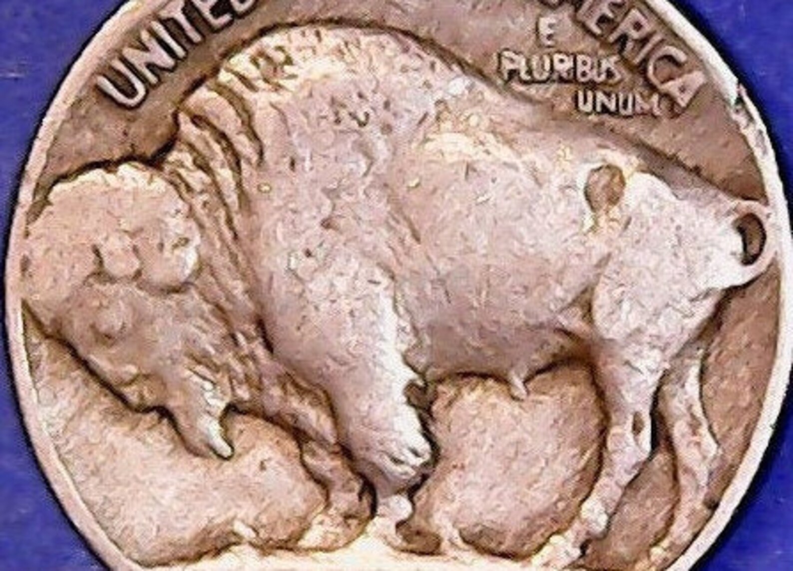 1937 plain buffalo nickel no mint mark number g7 in fine etsy