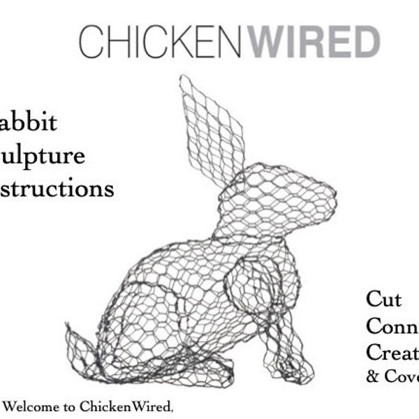 Instruction download - Rabbit Template