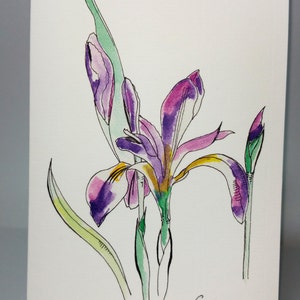 Greeting Card - Iris (Flowers) ~ Ink & Watercolour Drawing