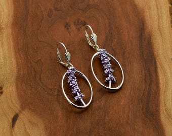 lavendeloorbellen, lavendula angustifolia, Engelse lavendelsteel in een camee-setting, sterlingzilver met paarse nanokeramiekkleur