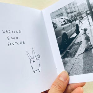 May include: A small, black and white book with the words "KEEPING GOOD POSTURE" written on the left page. A simple line drawing of a rabbit with a star above its head is on the left page. The right page shows a black and white photo of a dog on a leash walking down a street.