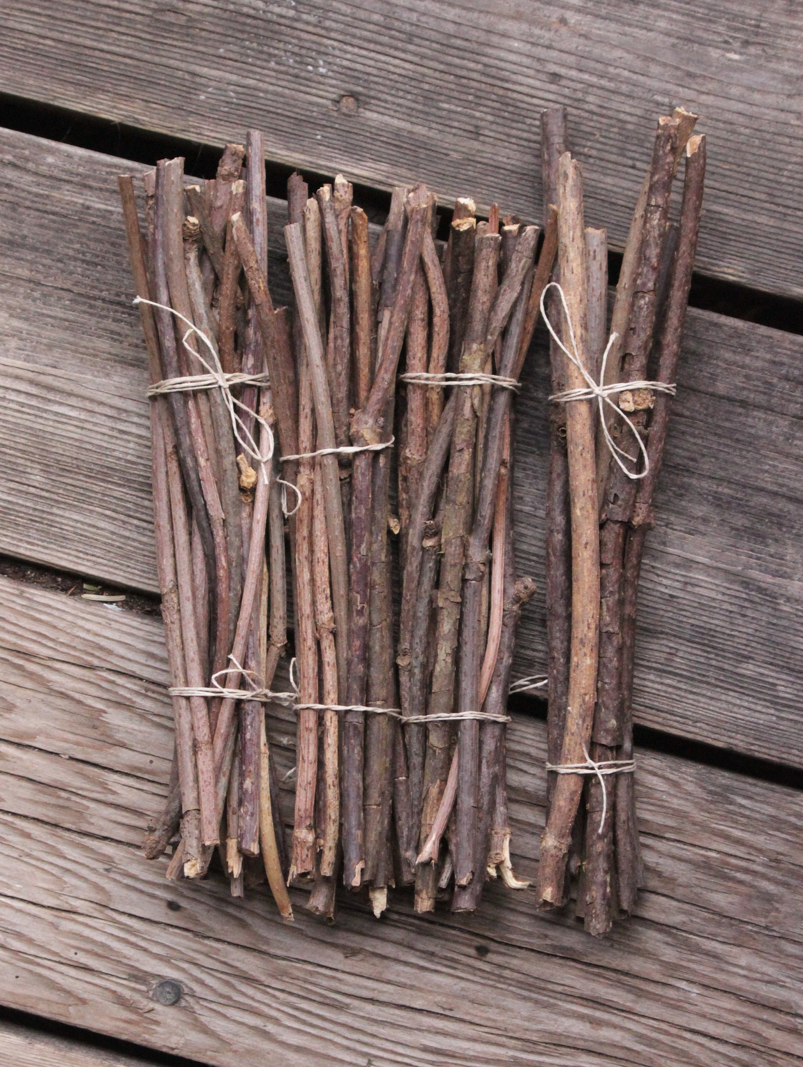Elderberry Wood Twigs Small Etsy