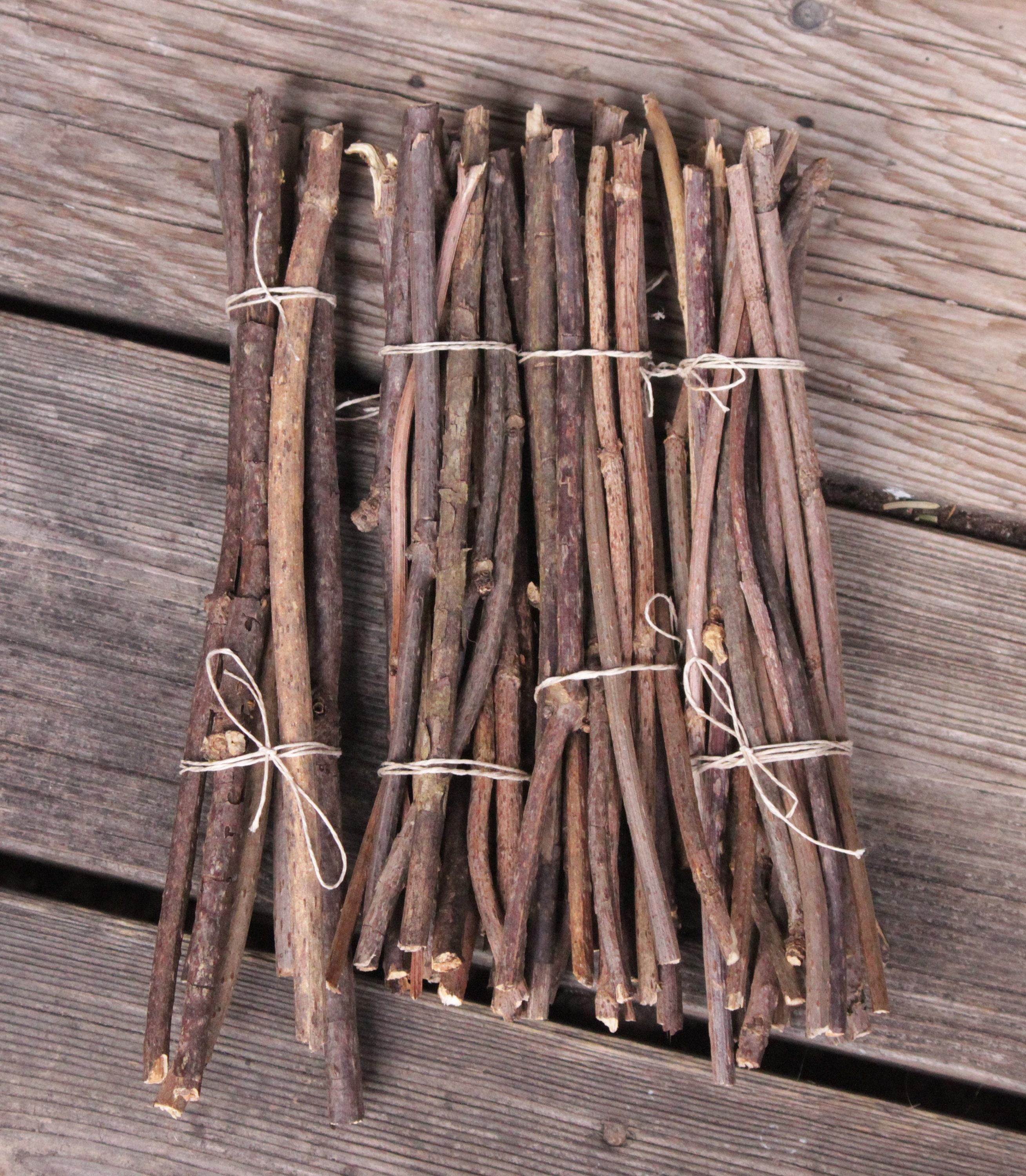 Elderberry Wood Twigs Small Etsy