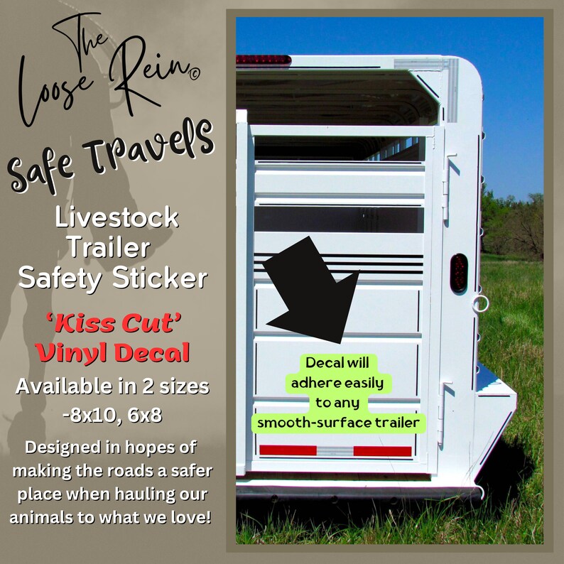 Horse Trailer Decal Sticker, My Best Friend Horse Sticker, Caution ...