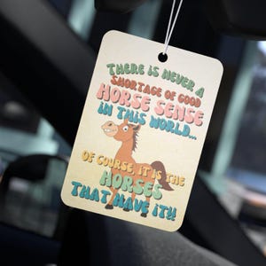 Horse Sense Air Freshener, Truck Decor, Car Scent, Horse Trainer Gift, Horse Gift, Best Friends Gift, Horse Owner Gift, Funny Horse Gift
