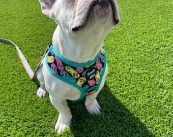 Smash Face reversible “80s Video Games and Shred Sesh” Print Dog Harness/ Collar/ Leash Set. Breathable, Flexible, Washable, and Fun Prints!