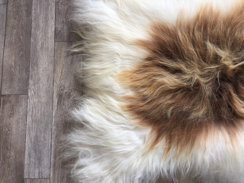 Spotted Long Haired Large Sheepskin Rug Spael Sheep Throw Etsy